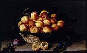 Louise Moillon Basket of Apricots oil painting artist